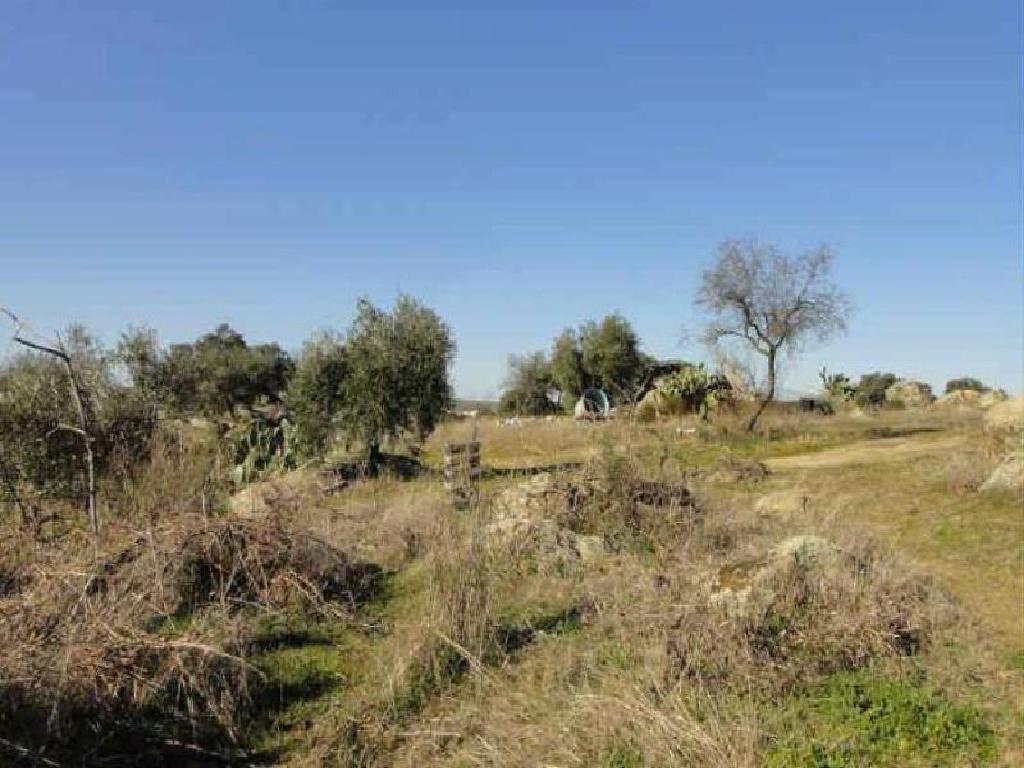 Esparragosa De La Serena