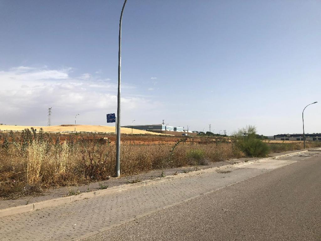 Alovera