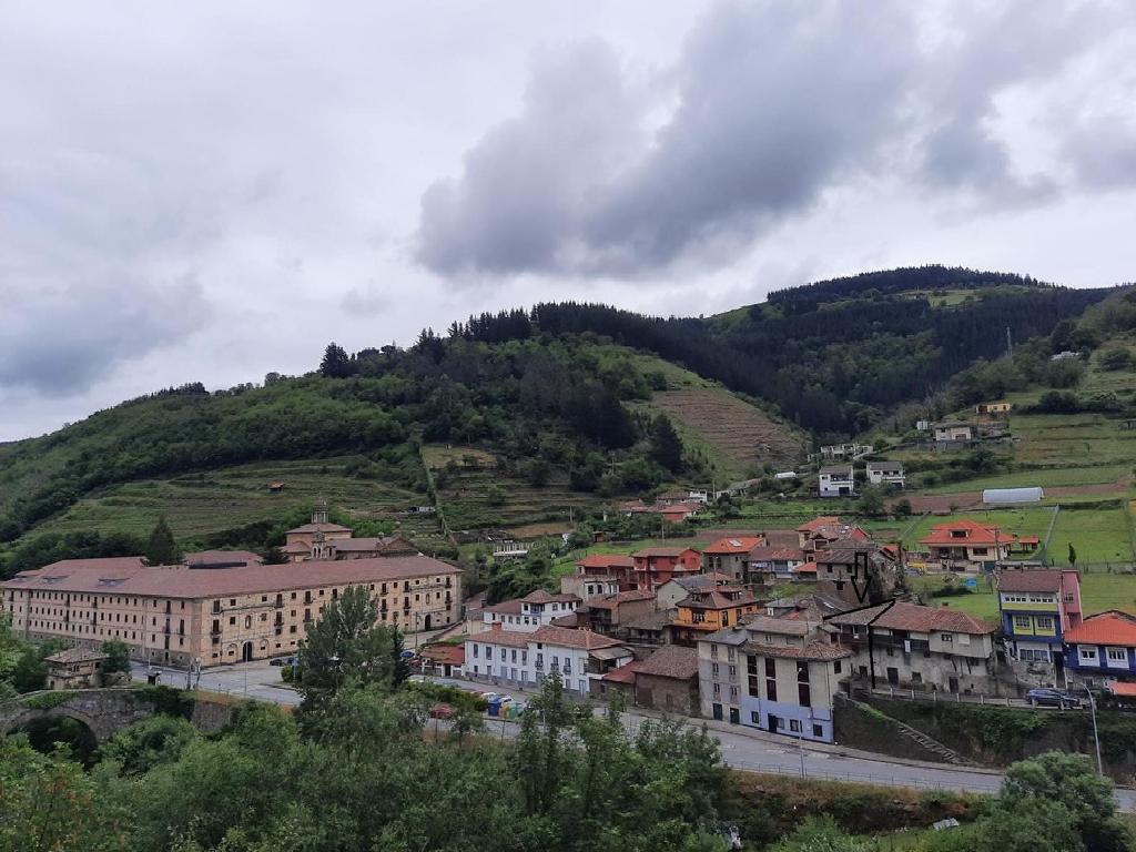 Cangas De Narcea