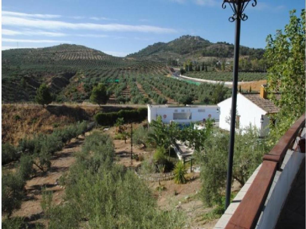 Alcaudete