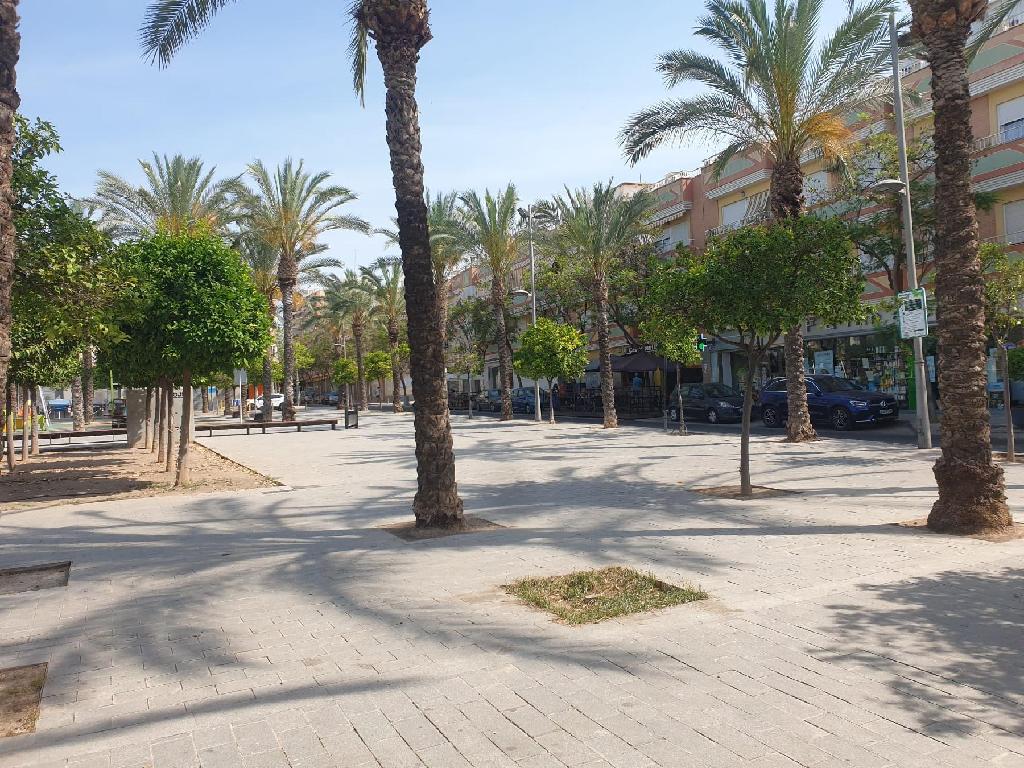 COLON  (San Vicente Raspeig)