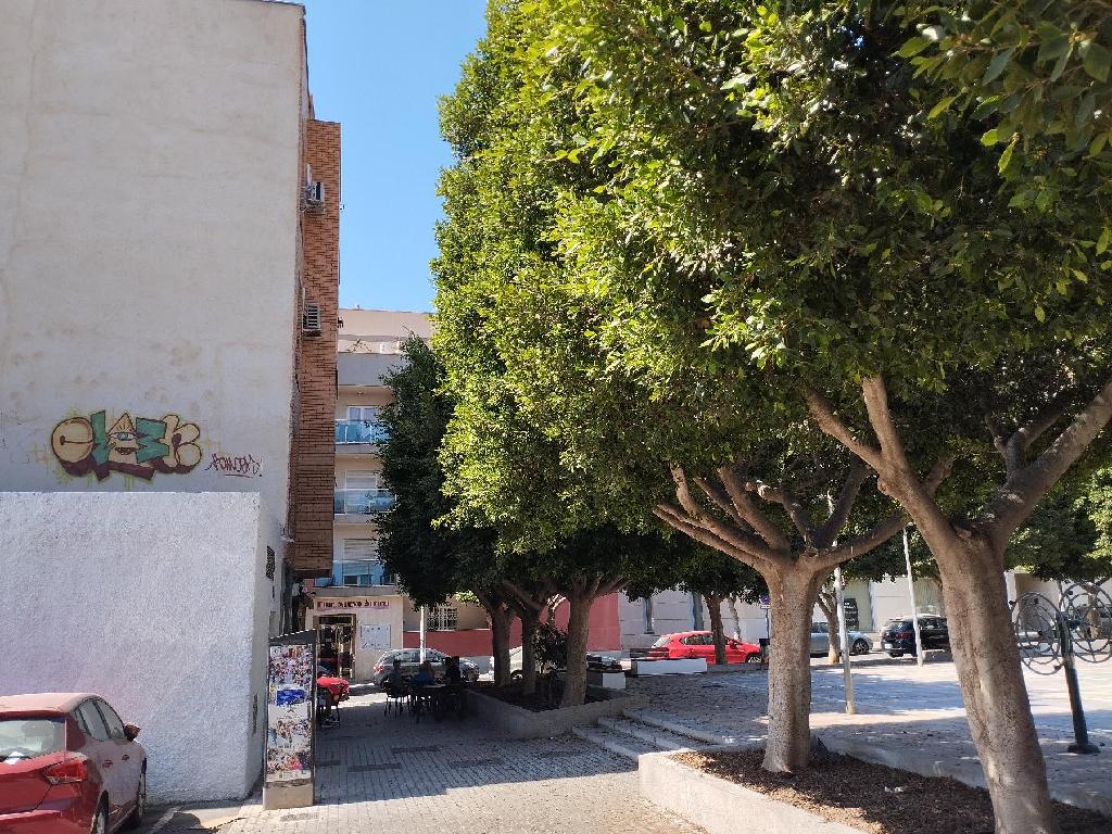 El Ejido