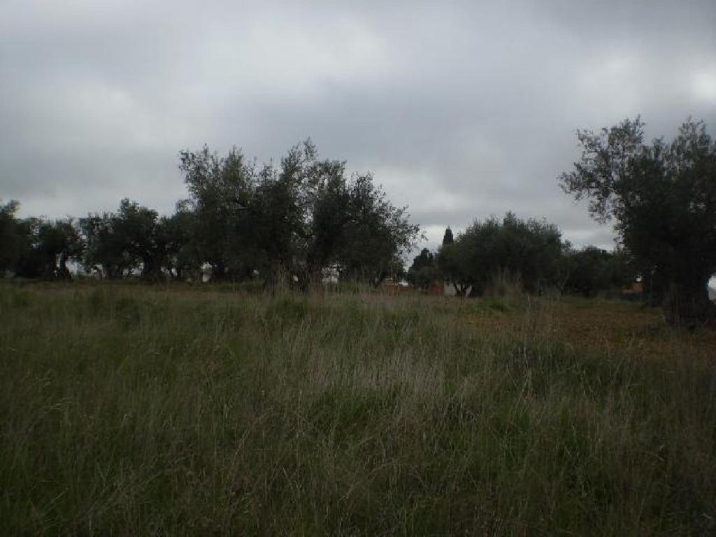 Yuncos