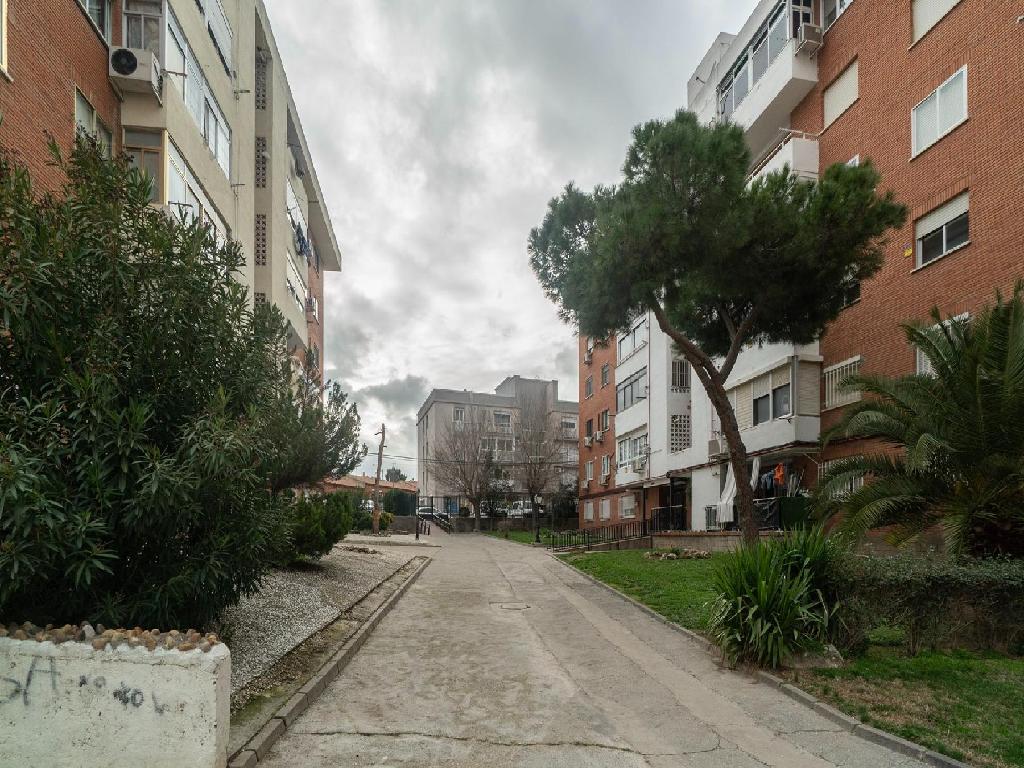 Ciempozuelos