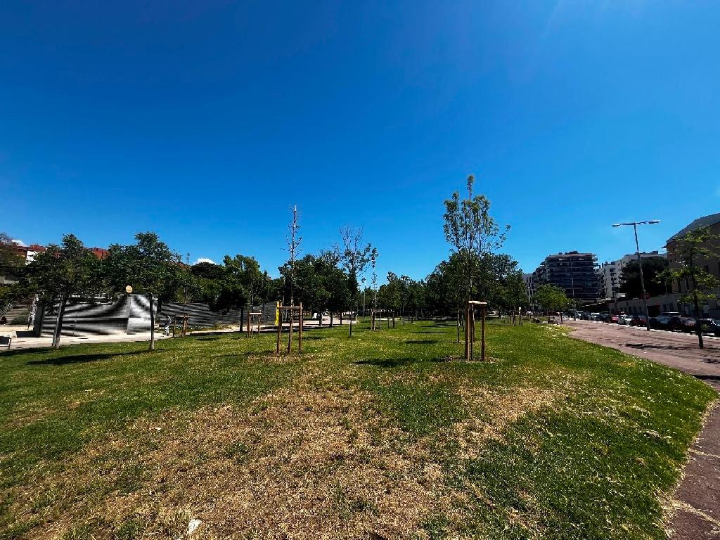 Sant Joan Despi