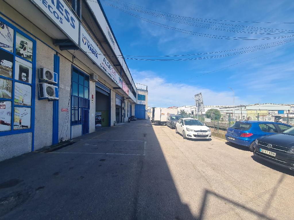 Algeciras