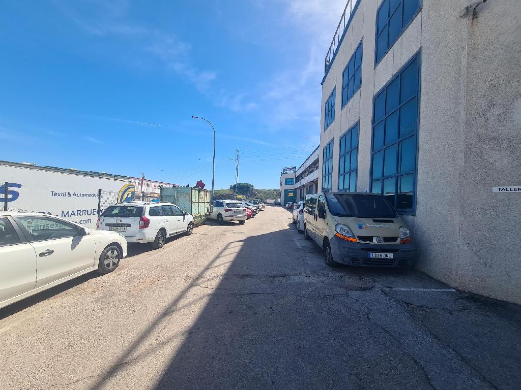 Algeciras