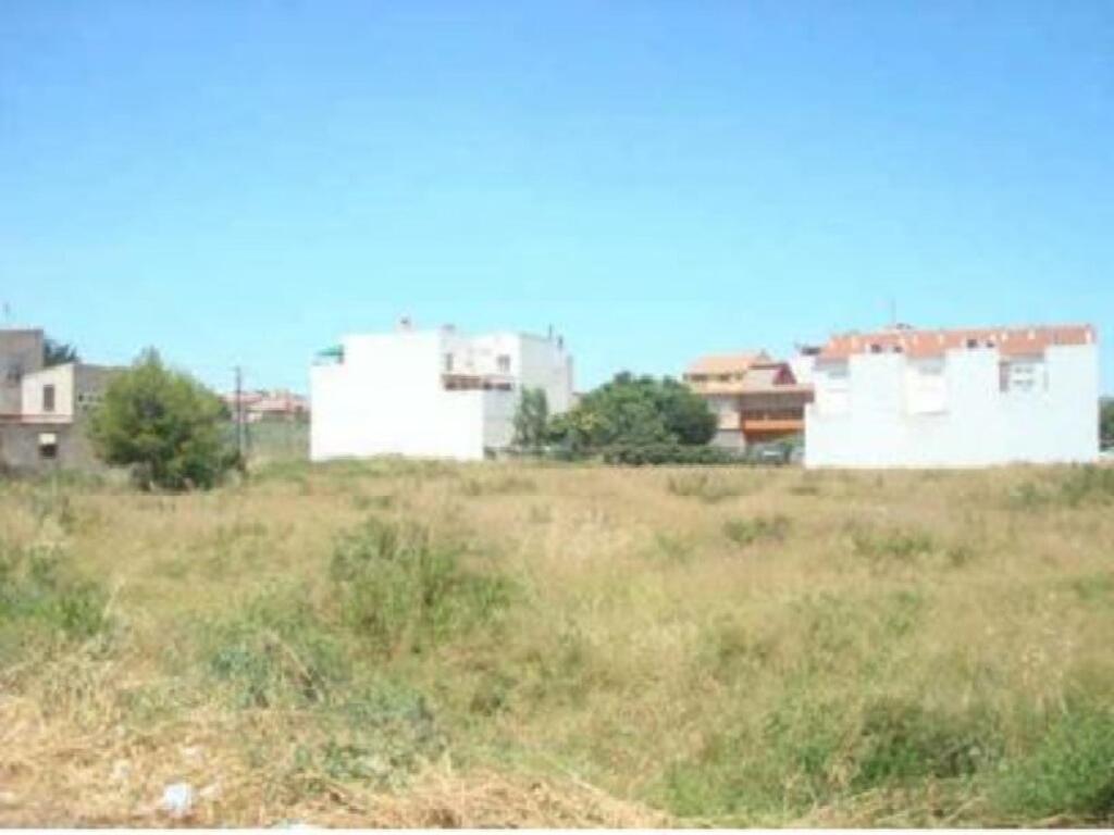 DISEMINADO CARRIL PALMERAL S/N ZM-ZN3 (Murcia)