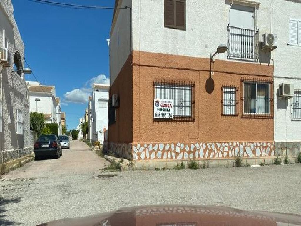 Pilar De La Horadada