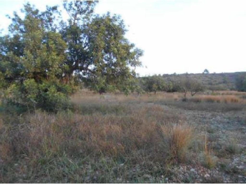 F. RUSTICA EN PARAJE LA SOLANA, POLIGONO 6, PARCEL (Buñol)