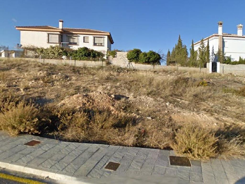 La Zubia