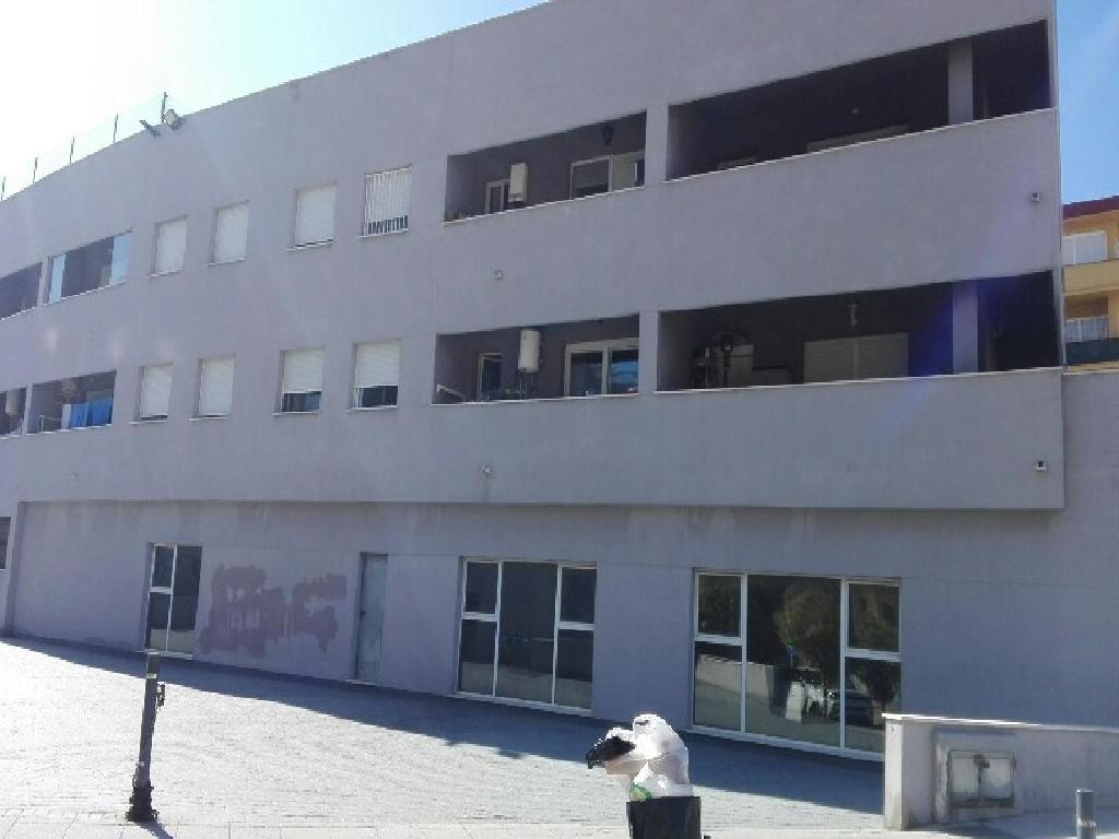 Algeciras