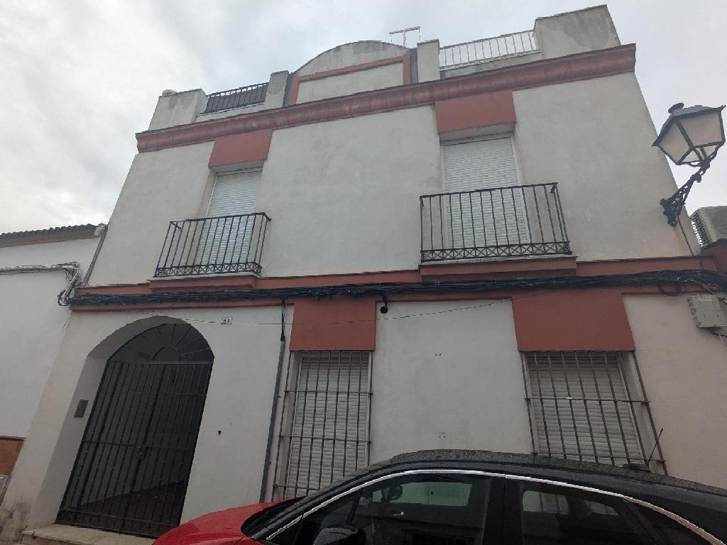 Olivares