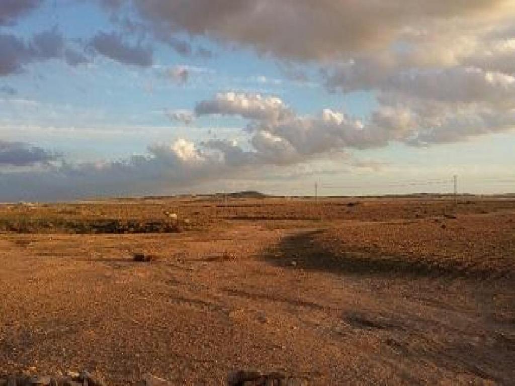 Chinchilla de Monte Aragón