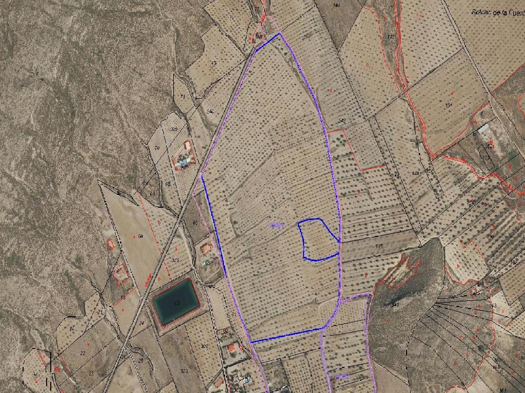 Jumilla