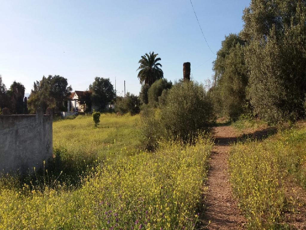 Malaga