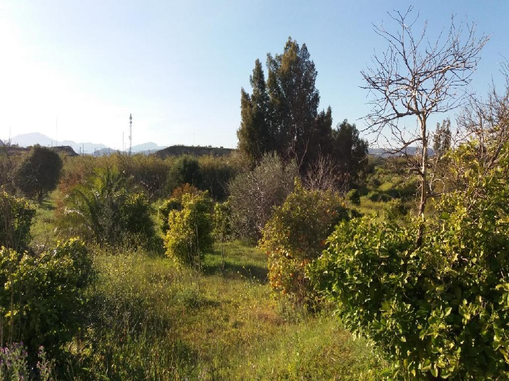 Malaga