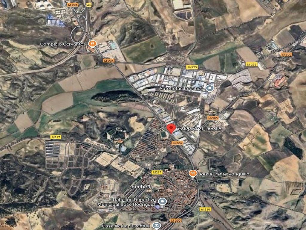 Loeches