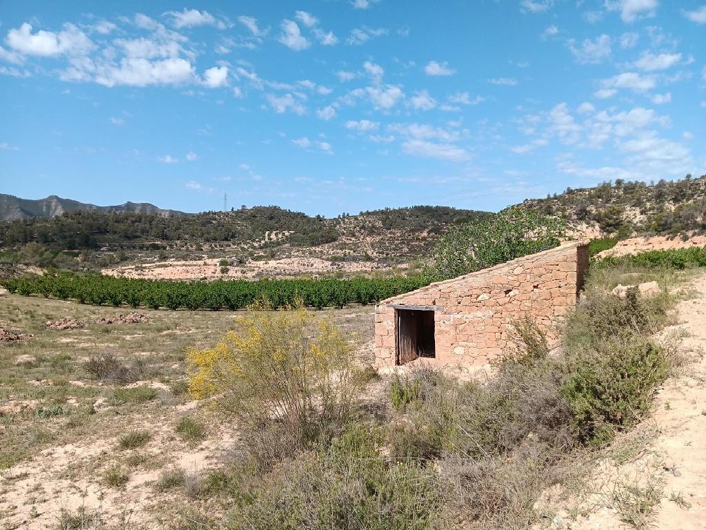 Ribarroja de Ebro/Riba Roja d'Ebre