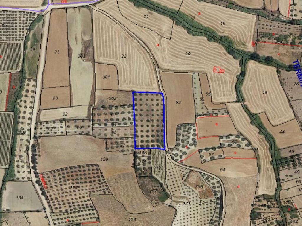 Villarrasa