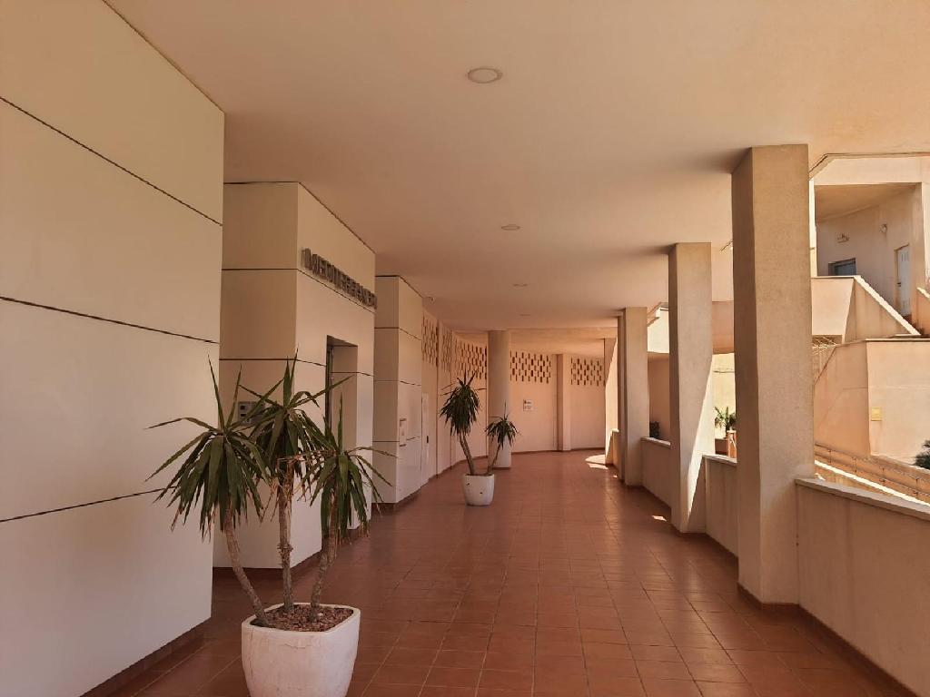 El Ejido