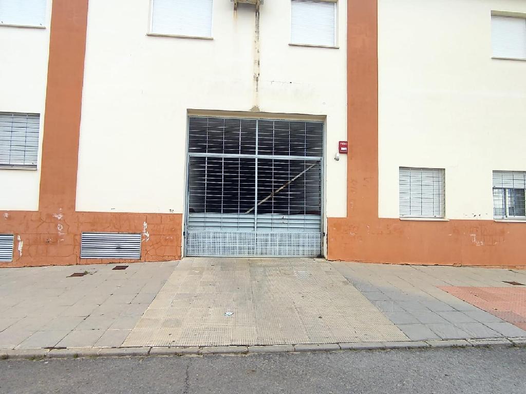 CRISTOBAL MORALES _ALMONTE (Almonte)