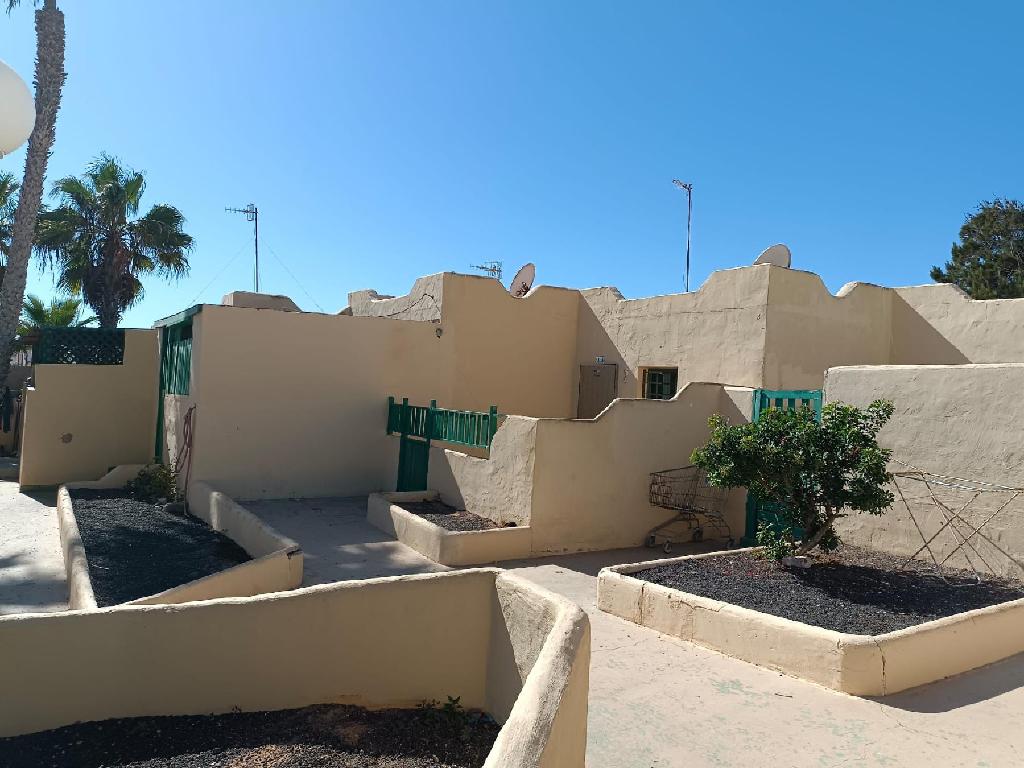 Pajara