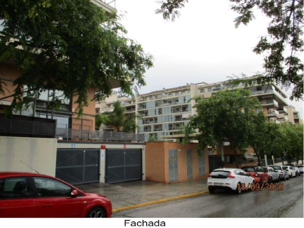 Paterna
