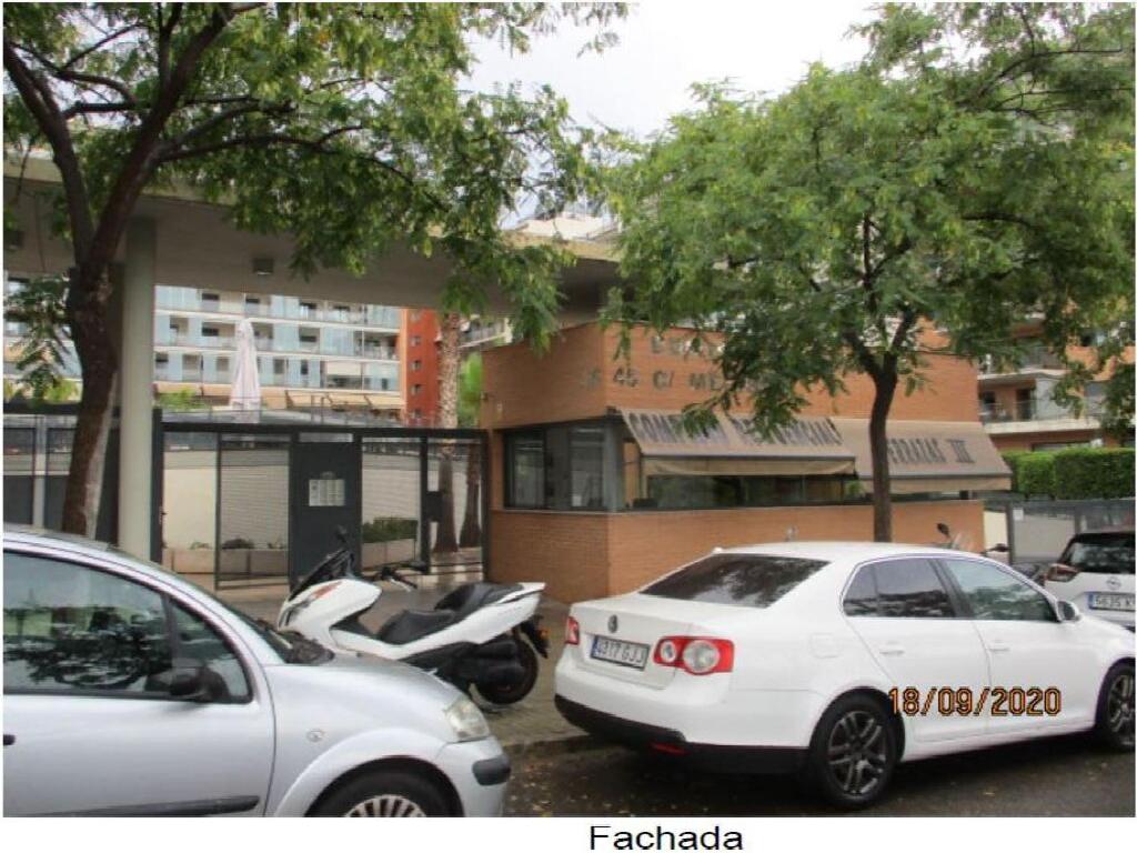 Paterna