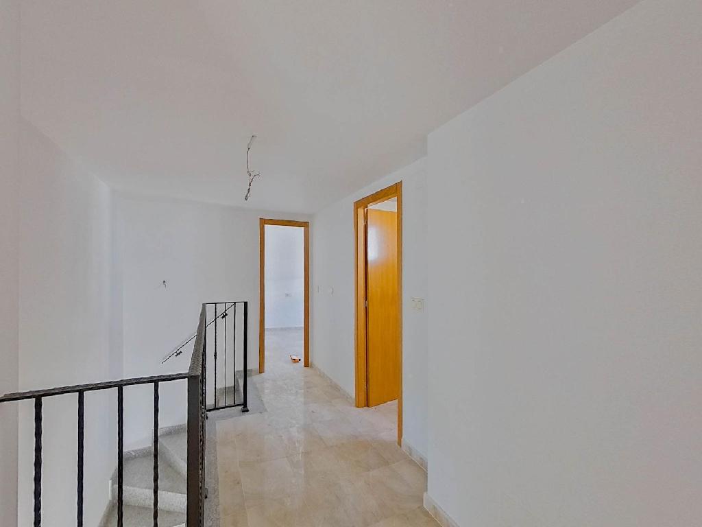 ACEQUIA MAYOR S/N (Molina De Segura)