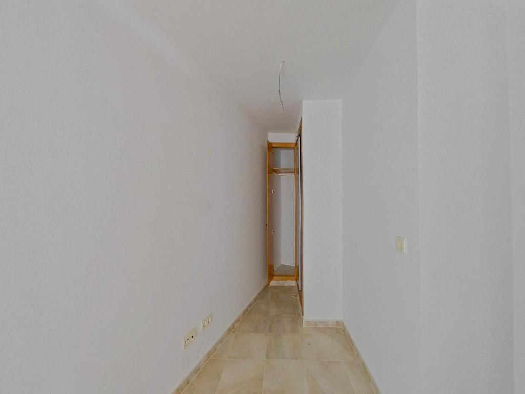 ACEQUIA MAYOR S/N (Molina De Segura)