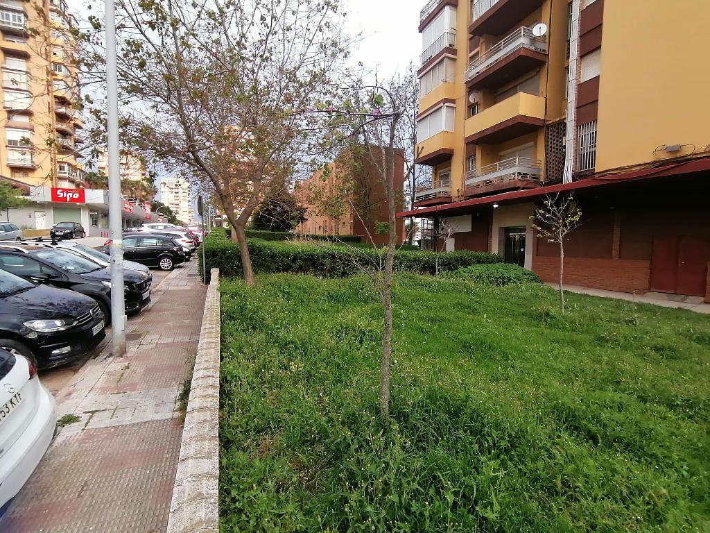 Algeciras