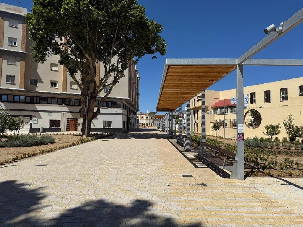 La Linea De La Concepcion