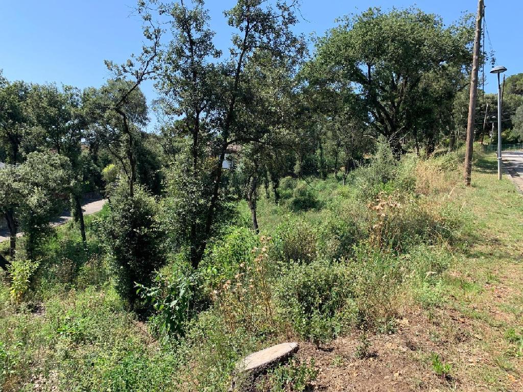 Sant Pere De Vilamajor