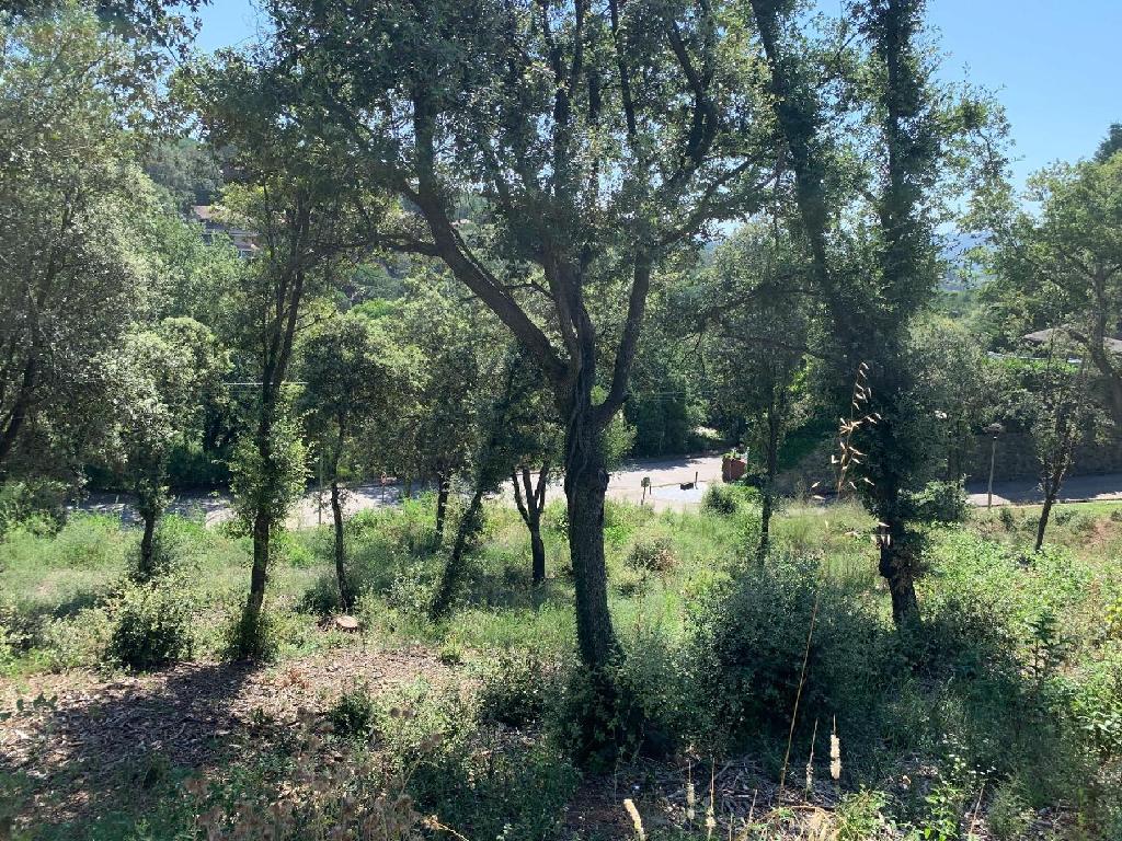 Sant Pere De Vilamajor