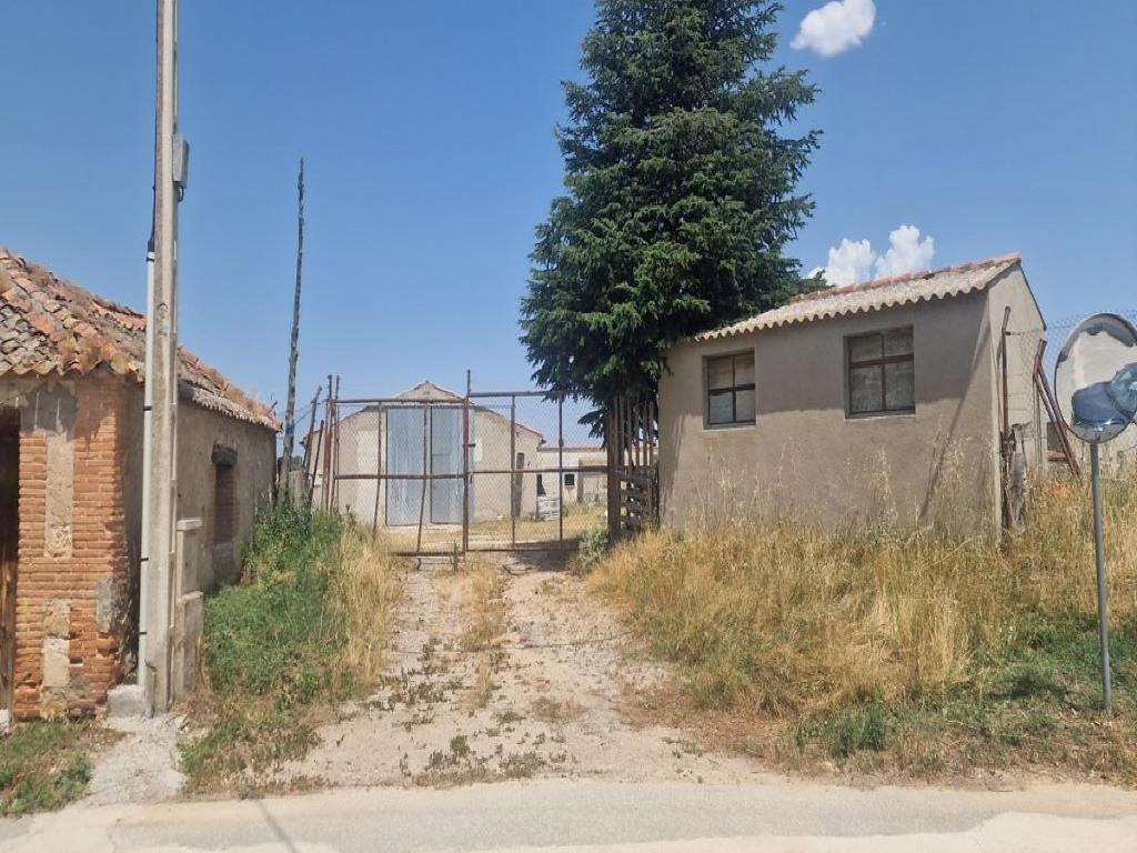 Escarabajosa De Cabezas