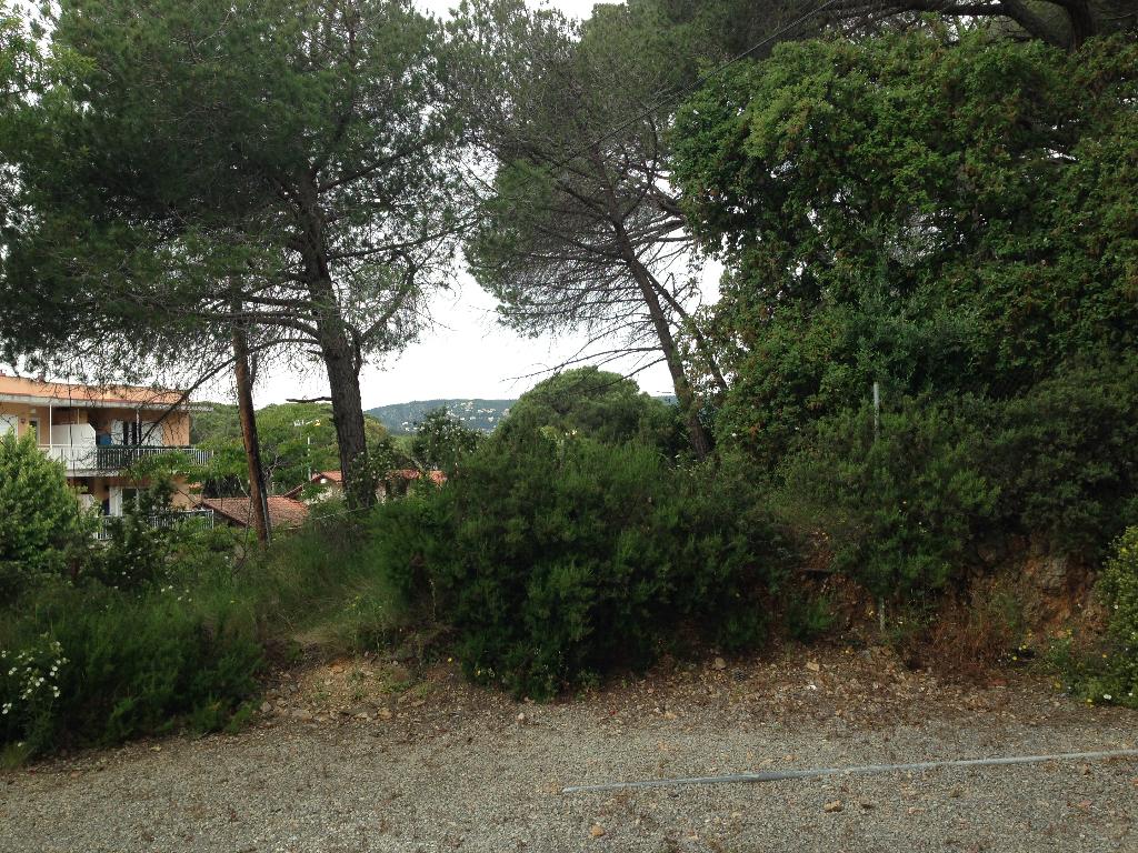 Calonge