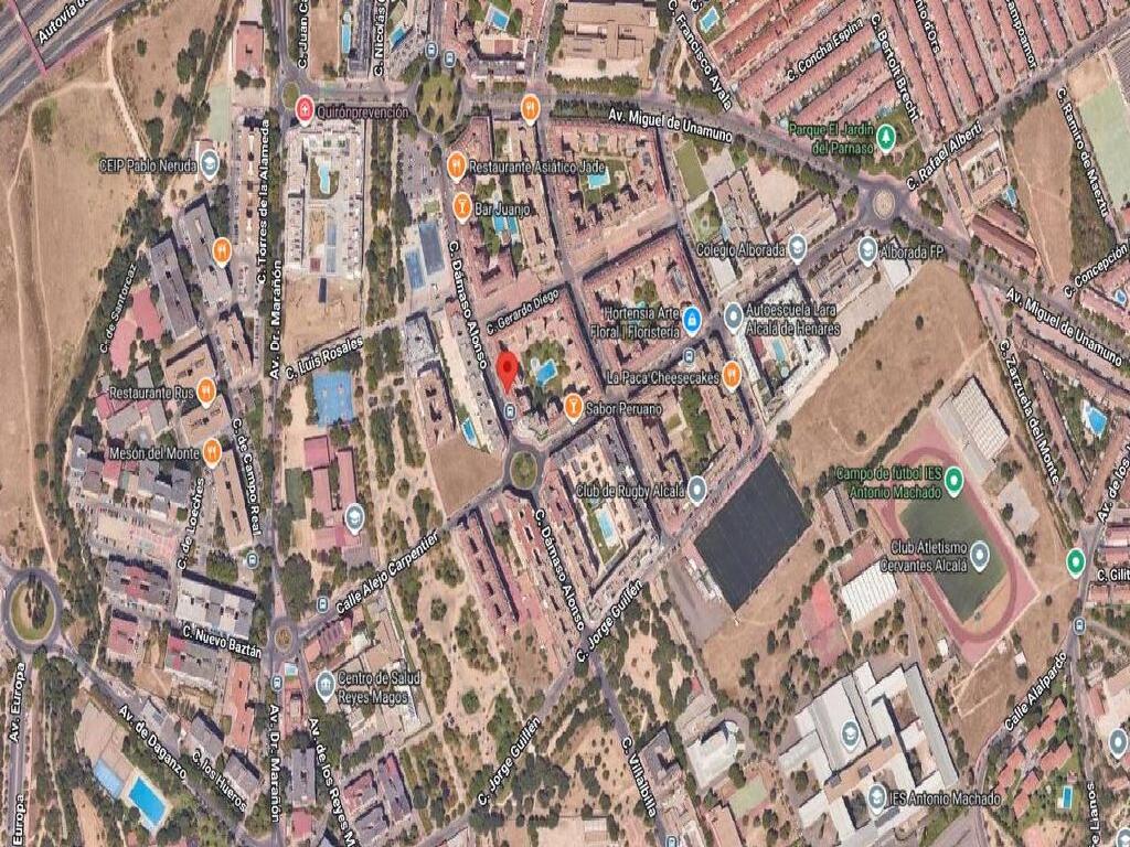DAMASO ALONSO 14 (Alcala De Henares)