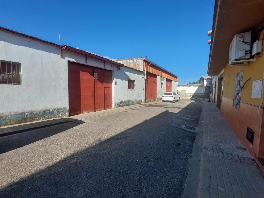 Brenes