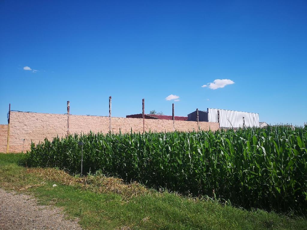 Seseña