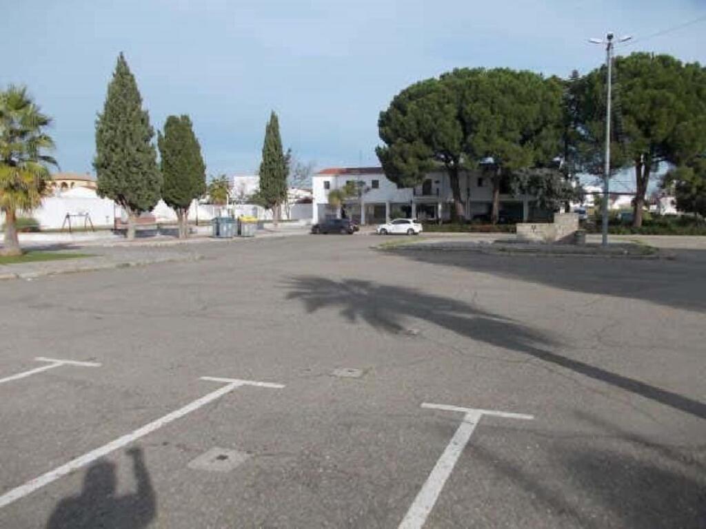DEL BOSQUE (Coria)