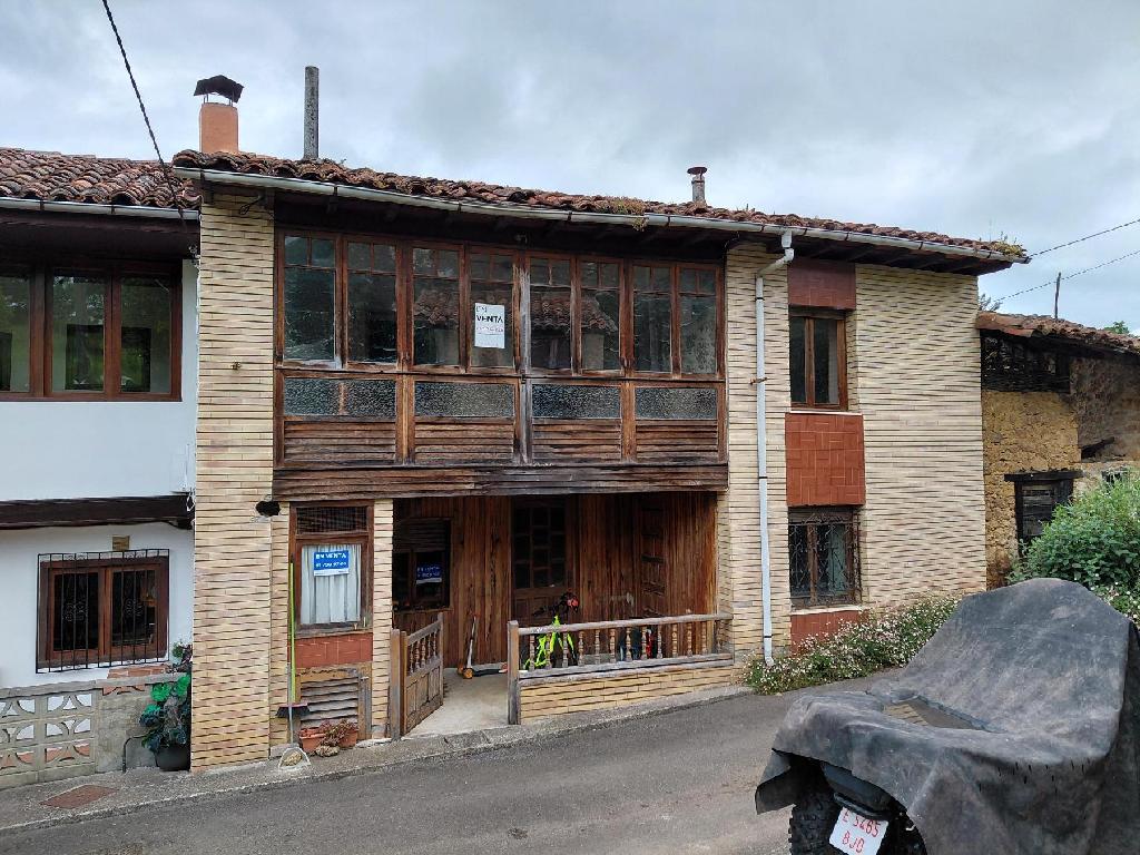 Pilo&ntilde;a