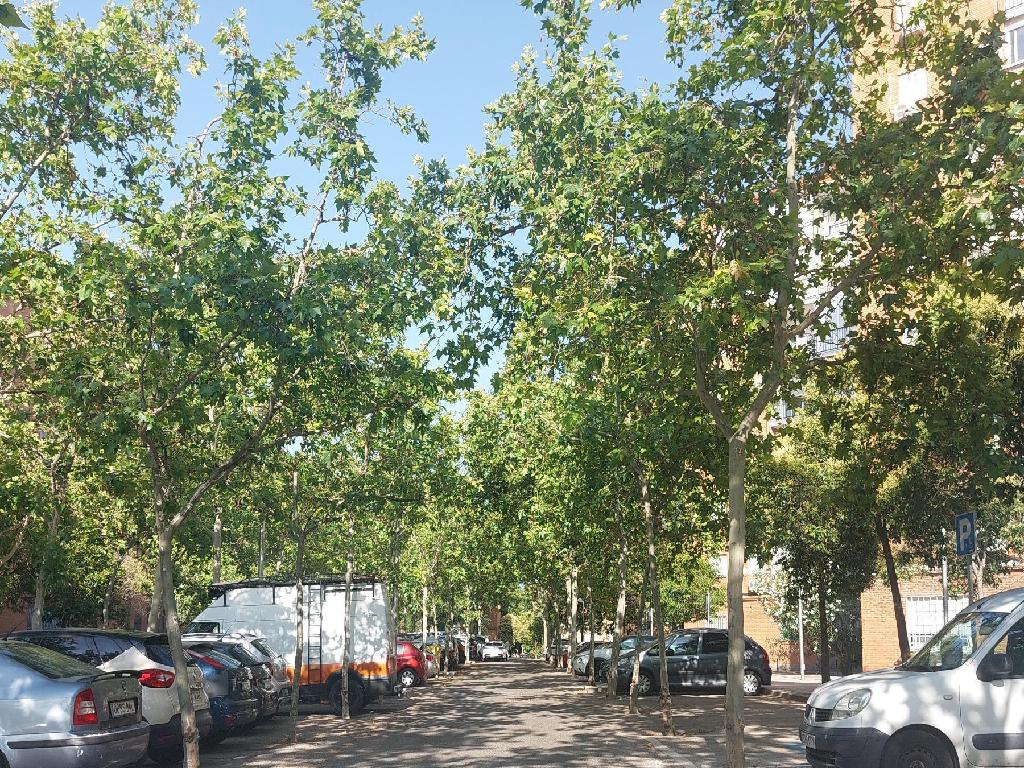 Madrid