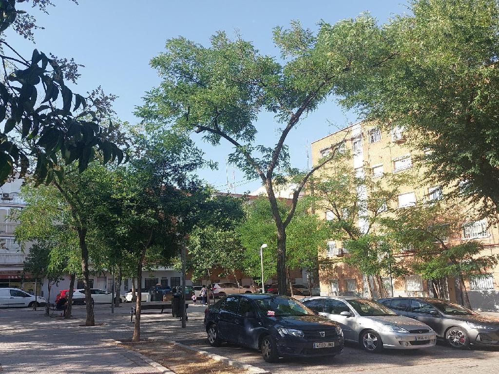 Madrid