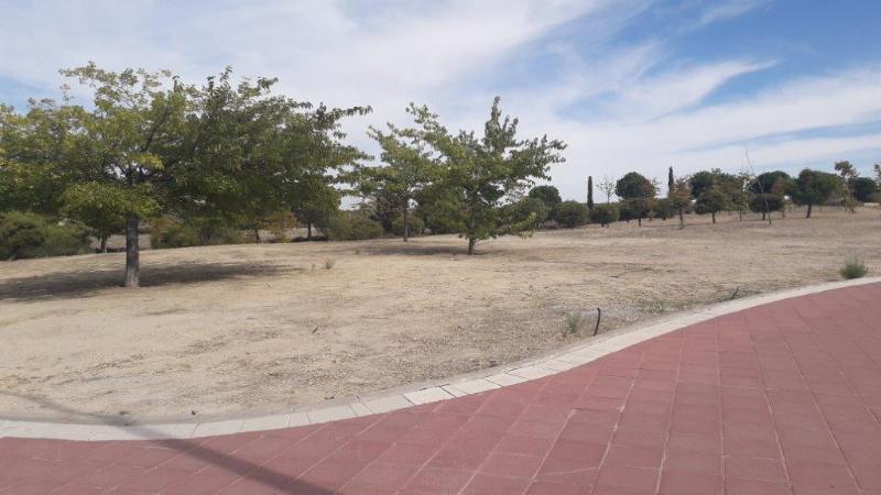 Boadilla Del Monte