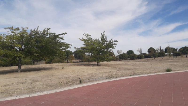 Boadilla Del Monte