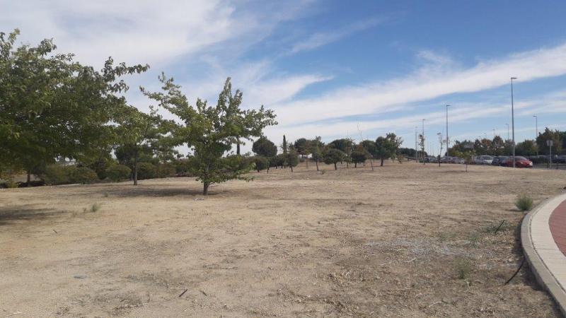 Boadilla Del Monte