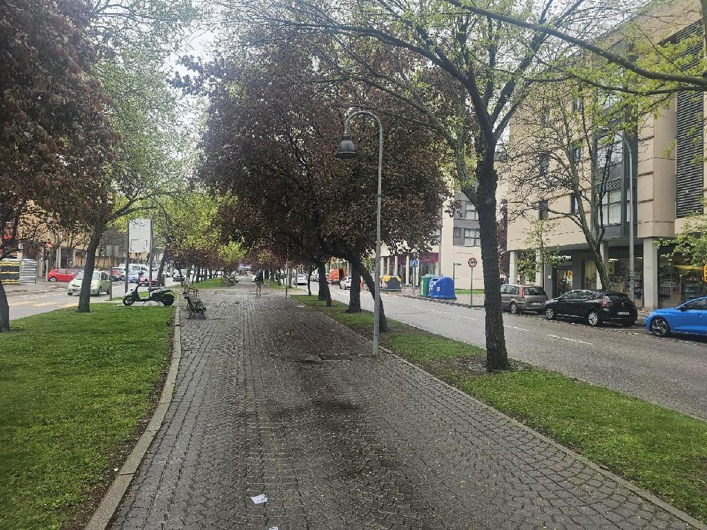 ANTONIO LOPEZ Y MARIA BLANCHARD (Pinto)