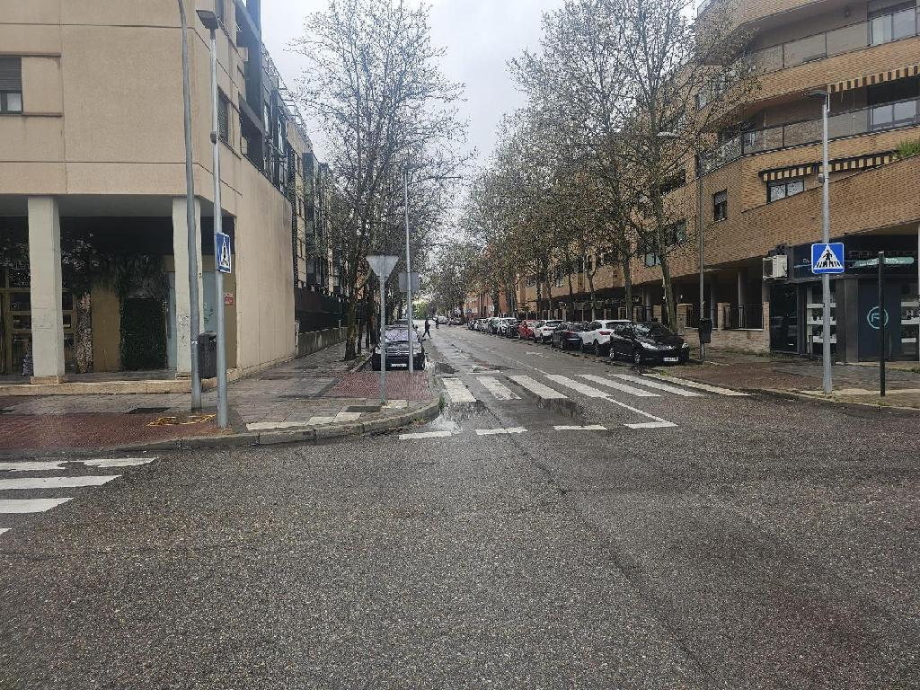 ANTONIO LOPEZ Y MARIA BLANCHARD (Pinto)