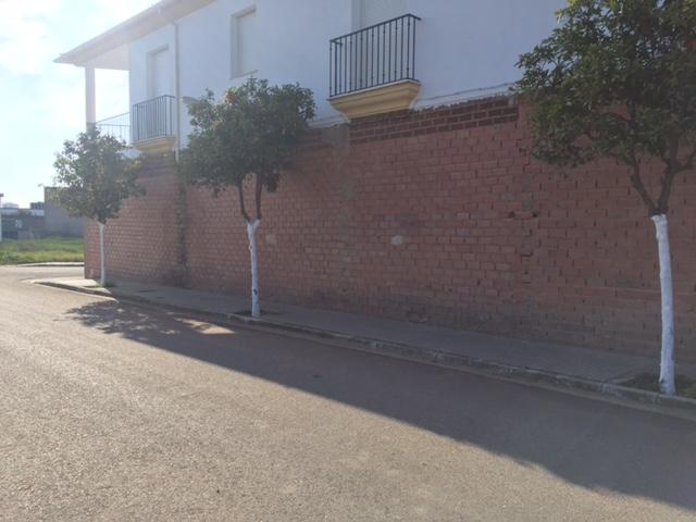 2 LOCALES EN FUENTE CARRETERO - CORDOBA (Fuente Palmera)